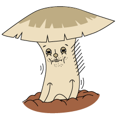 Fungus man (At the fork)