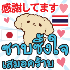 Appreciated Thai-Japanese by Dog