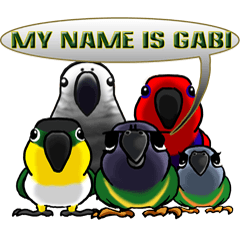 The parrot's name is Gabi & his friends