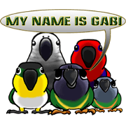 The parrot's name is Gabi & his friends