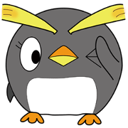 Rockhopper penguin's Petawo