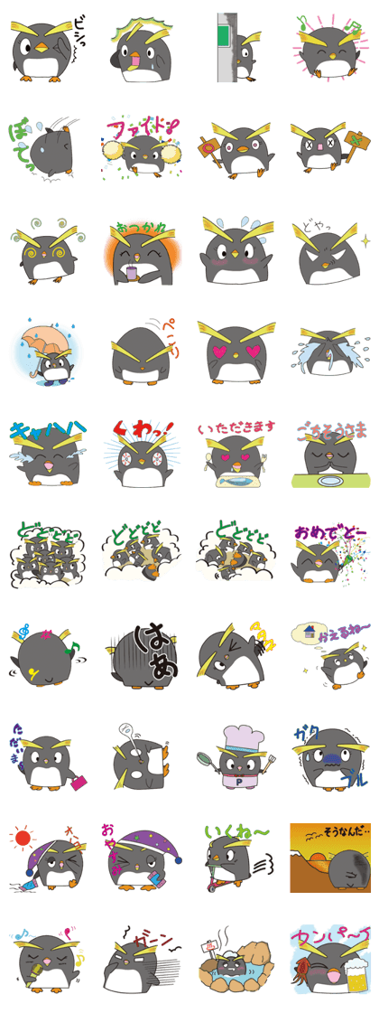 Rockhopper penguin's Petawo