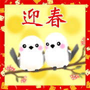 New year's holiday adults