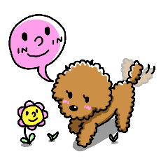 玩具貴賓犬的neriko Line貼圖 Line Store