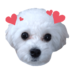 Hikari_20191206184703