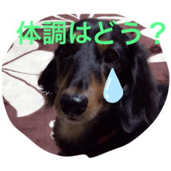 risa_20191206185405