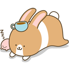 Mokatokki Coffee Rabbit