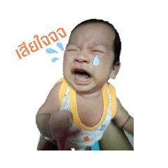 Kitty_20191206135154