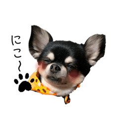 yukari_20191206175442