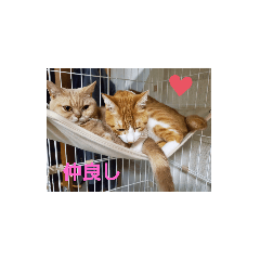 TETSU_20191206190620