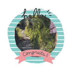 自然景色超美！