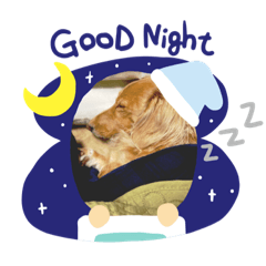 ringo_20191207000903