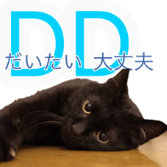 Black cat MOMOTERUnoStamp_201912062030