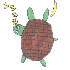 turtle turtle turtle 2