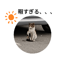 Mochi_20191207044156