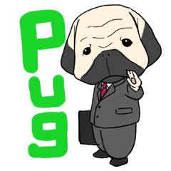Mr. Pug