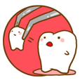 こんにちは、歯です！