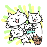 Cat family "Ninoneko"