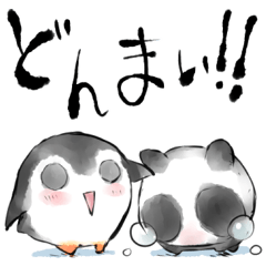 Penguin Panda "Chiu & Mao"