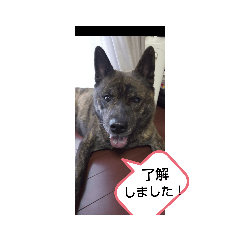 chi_20191207120446