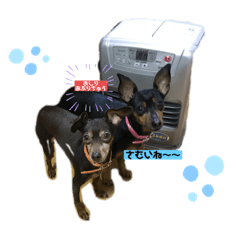 ayumi_20191207133421