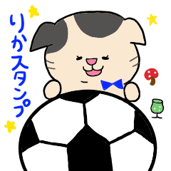 Football and Hobbies Rika Cat