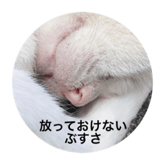 ayano_20191207144856