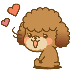 Kawaii Dog - Toy Poodle