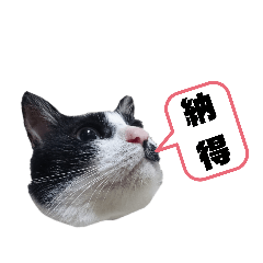 satoshi_20191207160746