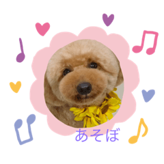 yukari_20191207133736