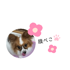 chiro_20191207155436