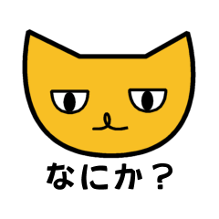 Expressionless cat