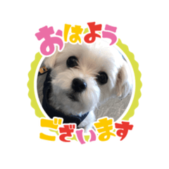 vivi_20191207190629