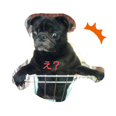 HARUNA_20191207204915