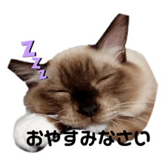 mimi_20191207213659