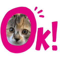 haruna_20191207231755