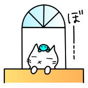 Marshmallow cat