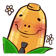 Corn Boy