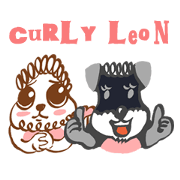 LEON & SHUNOW