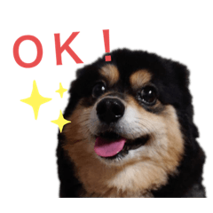 omayu_20191207212551