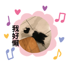 波波羅迪