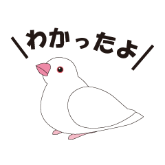 文鳥と一緒