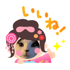 tono_20191207193932