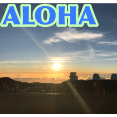 アロハが止まらない All About Aloha