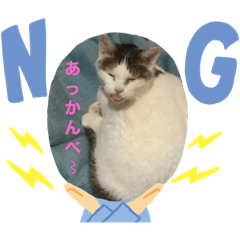 かるた姉さんと野良猫達 Lineクリエイターズスタンプ Stamplist