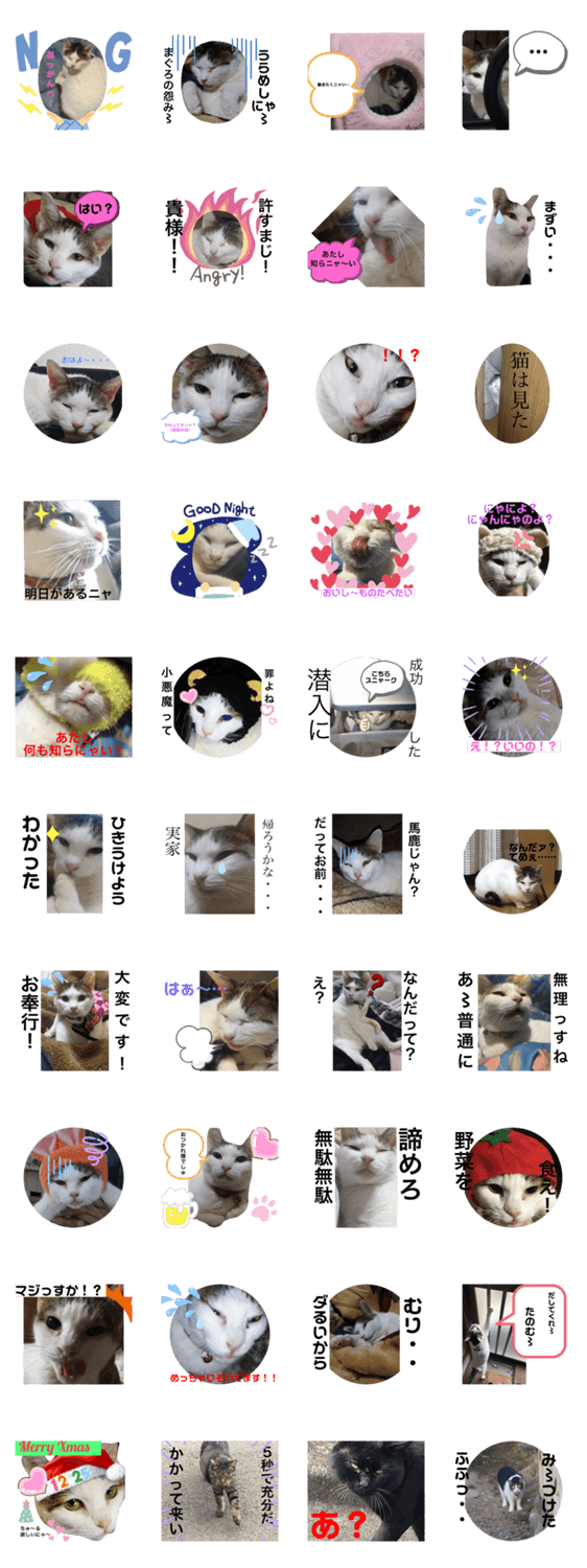 かるた姉さんと野良猫達 Lineクリエイターズスタンプ Stamplist