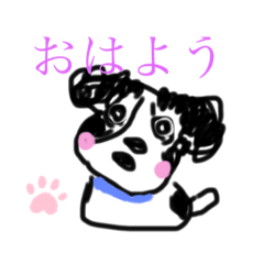 chocomint_20191208115452