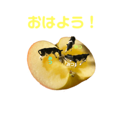 ken_20191208122844