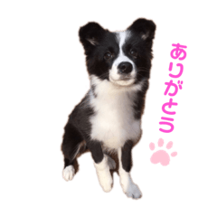 tasu_20191208113814