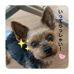 Sally_20191208102218